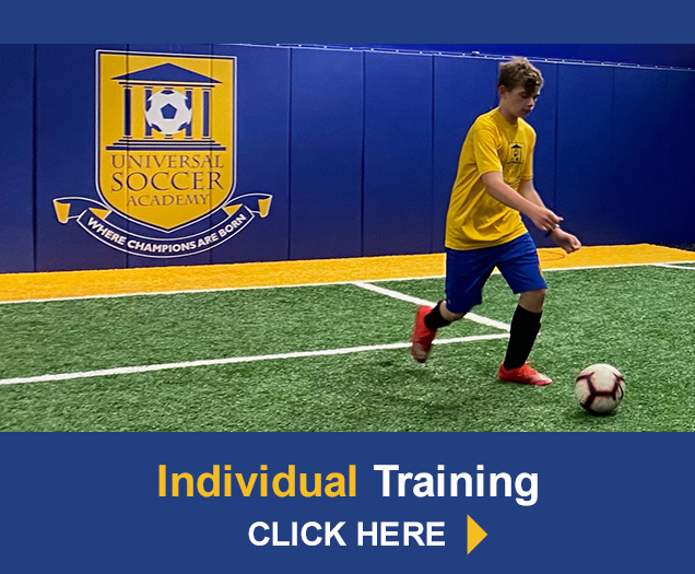 Individual Training